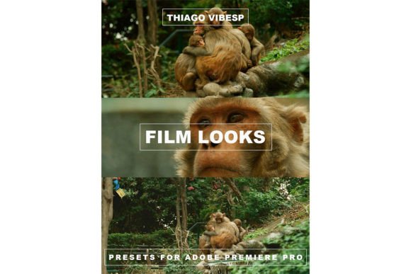 Download Red Camera Presets for Premiere Pro - Premium Bundle